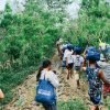 Salcedo, Ilocos Sur 7
