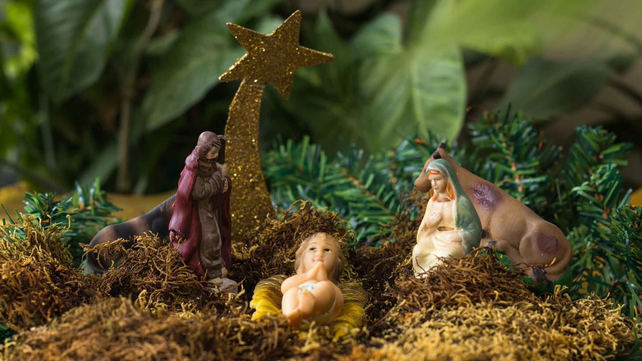 How to Find Joy and Peace This Christmas
